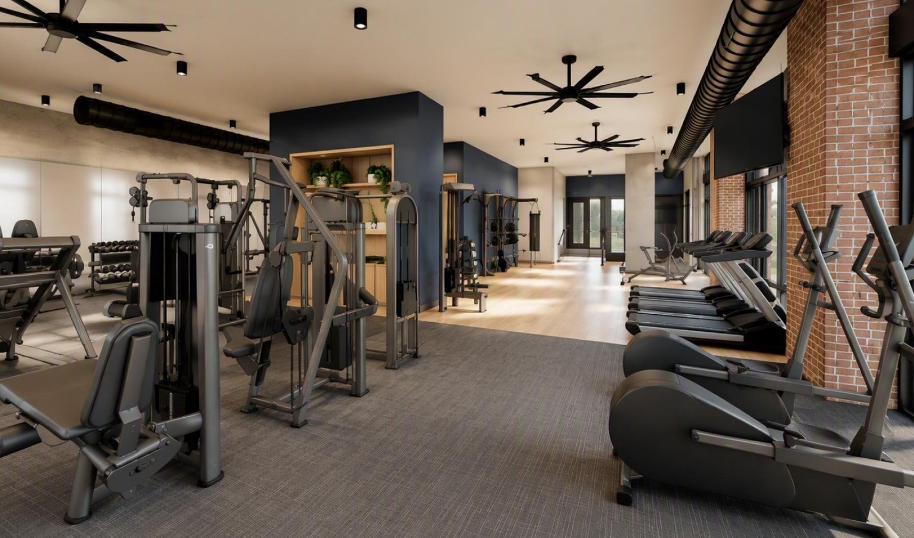 a gym with treadmills